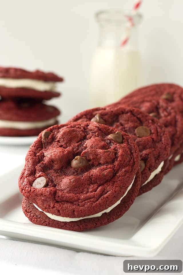 featured 10764