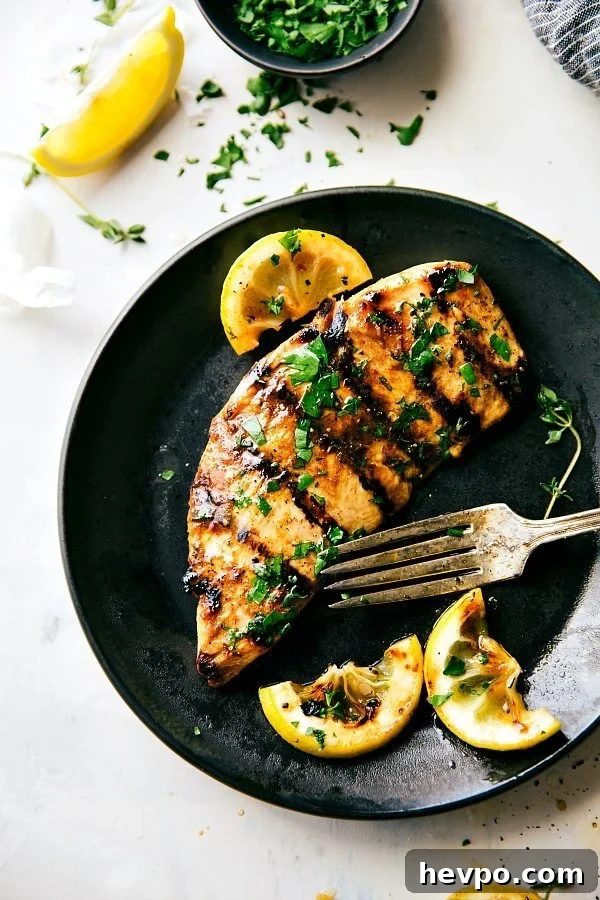 featured 14081
