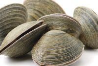 Why Vitamin B12 Matters: Signs, Benefits, and How to Get Enough