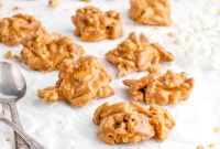 Southern Buttermilk Pecan Pralines Recipe – Classic Southern Candy