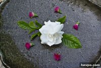 A Mother’s Love: Memories That Stay Forever