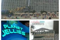 Top Family Activities in Myrtle Beach: 10 Kid-Friendly Attractions