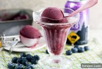 Boozy Blueberry and Plum Sorbet Recipe for Summer Cocktails