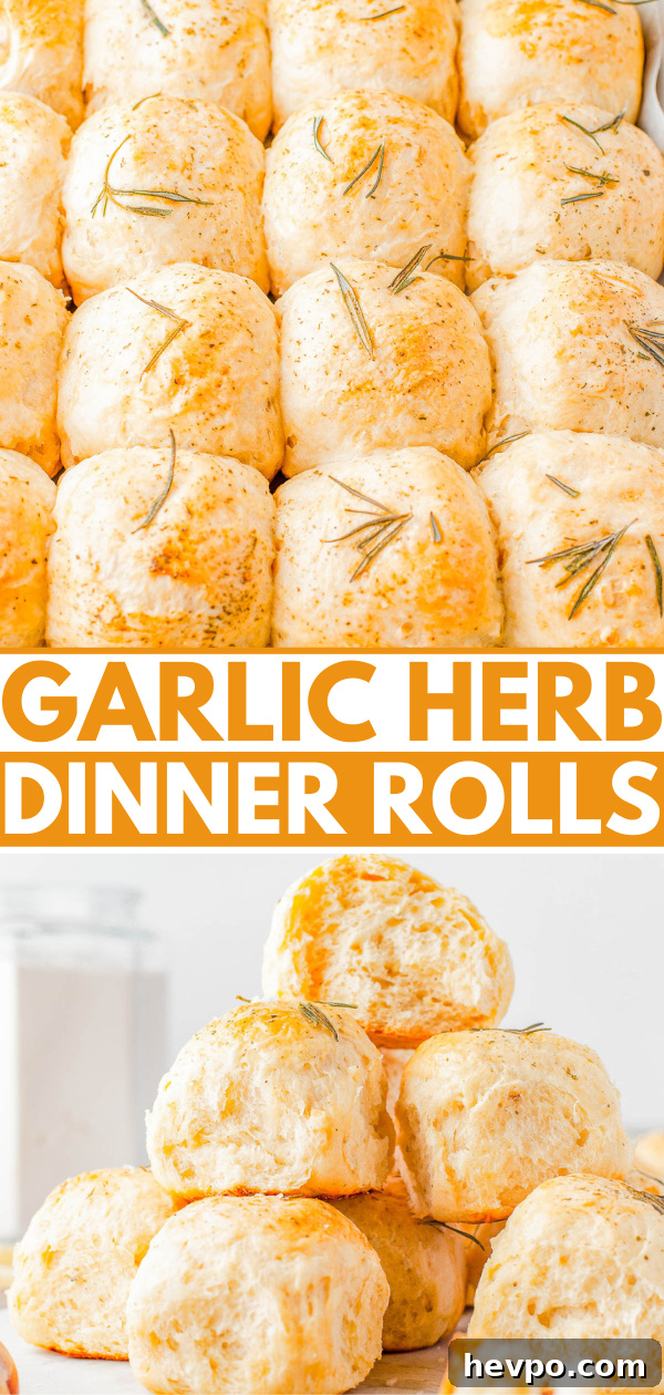 Rows of baked garlic herb dinner rolls garnished with rosemary.