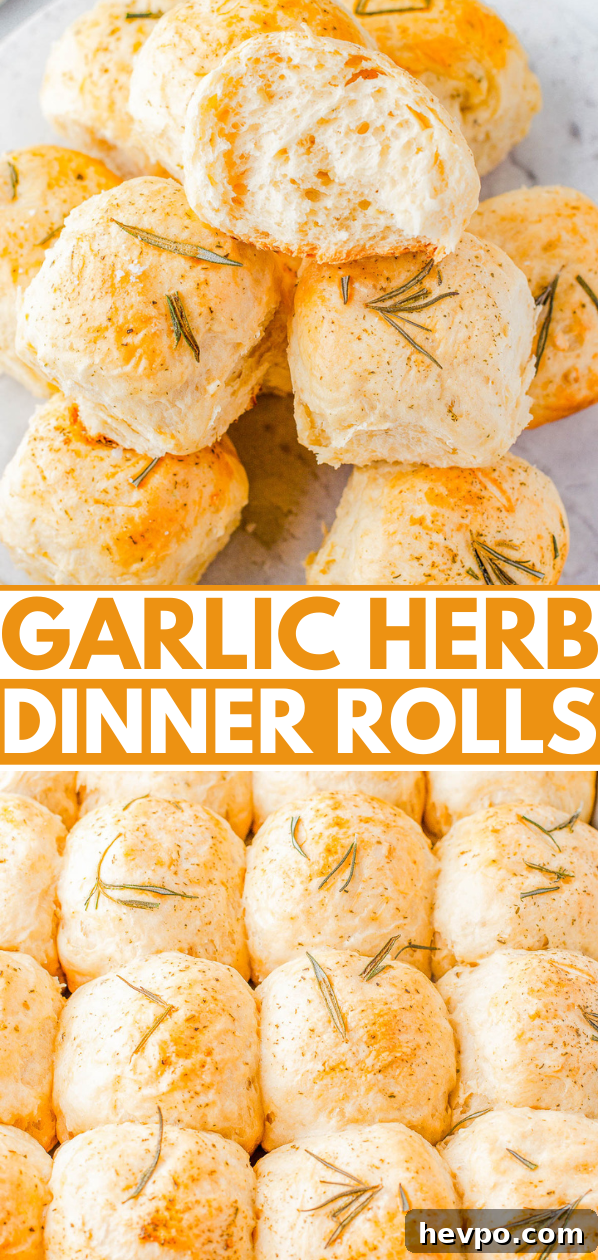 An arrangement of garlic herb dinner rolls.
