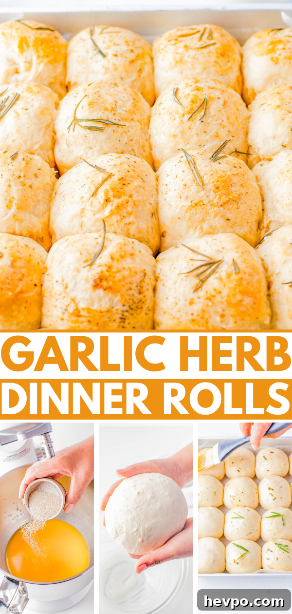 A tray of garlic herb dinner rolls with step images.