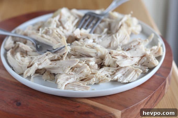 Healing My Interstitial Cystitis With Natural Therapies 6 Instant Pot shredded chicken recipe