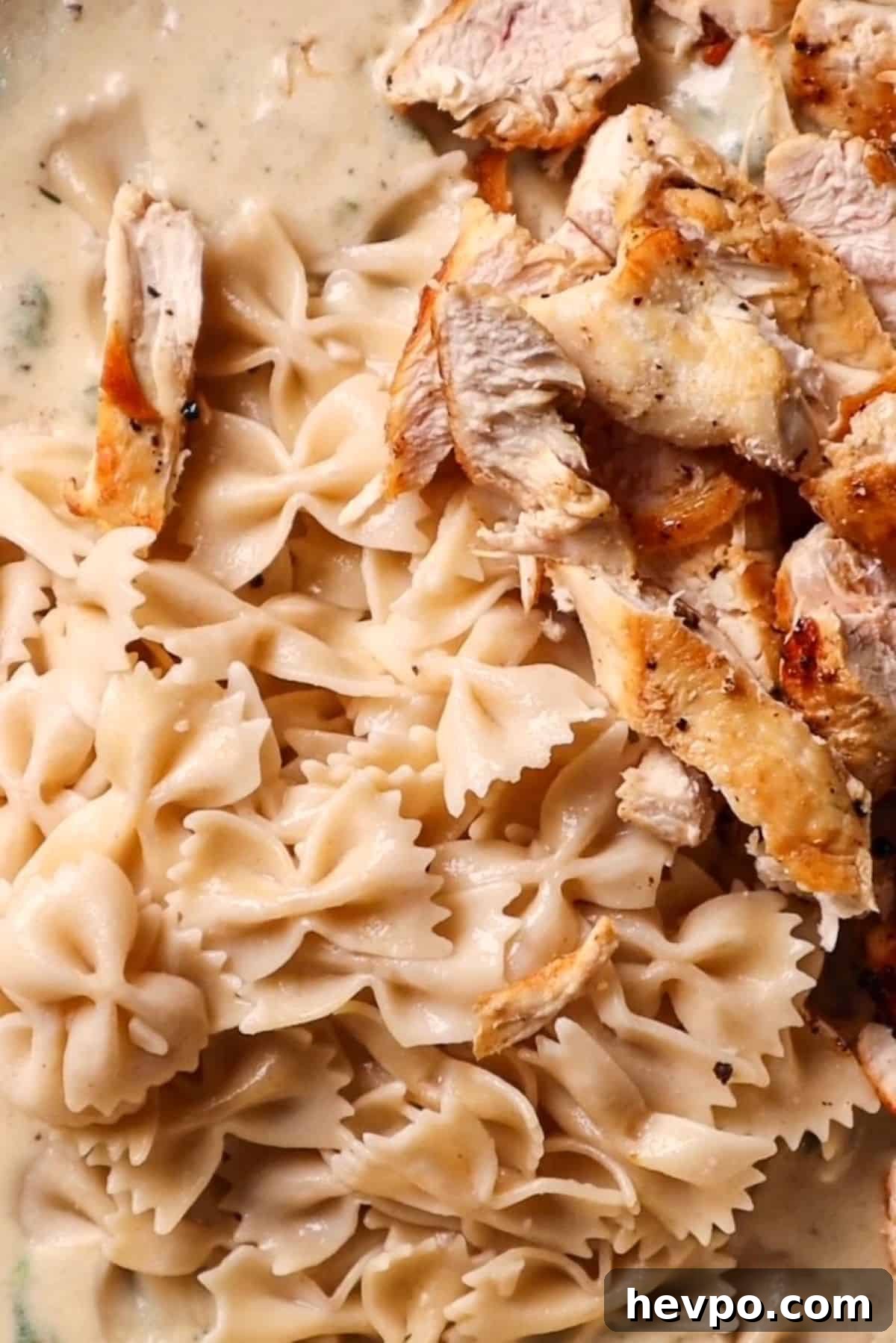 garlic parmesan pasta sauce with pasta and chicken