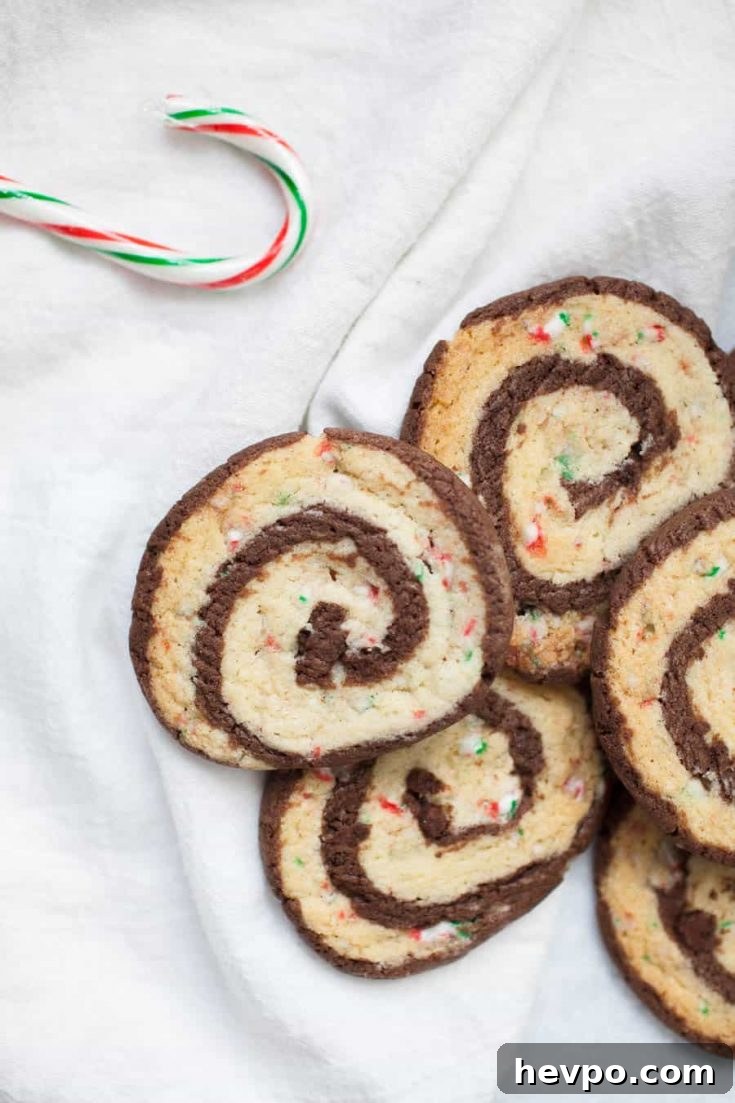Chocolate peppermint pinwheel cookies