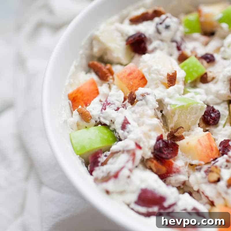 Close-up of a bowl filled with creamy Christmas fruit salad containing red and green apple chunks, grapes, pecans, and dried cranberries mixed in a creamy dressing.