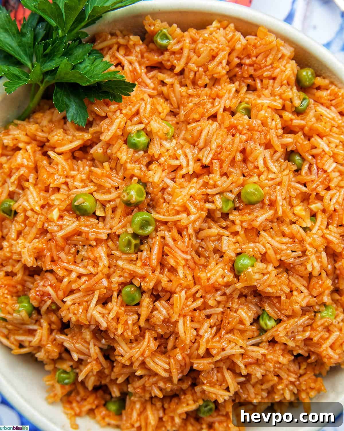 Authentic Vegetarian Mexican Rice Recipe — Flavorful & Simple 2 bowl of Vegetarian Mexican Rice with parsley garnish.