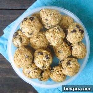 Peanut Butter Chocolate Chip Energy Bites
