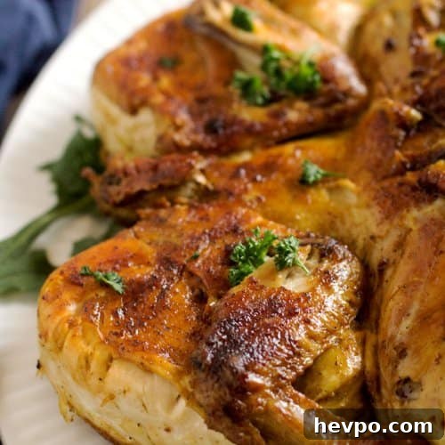 Crispy Georgian Chicken Tabaka Recipe: Pan-Fried Garlic Chicken 2 Georgian Crispy Chicken Tabaka