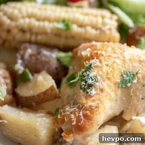 Garlic Parmesan Slow-Cooker Chicken with Potatoes 6 img 12413 5
