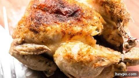 Instant Pot frozen whole chicken