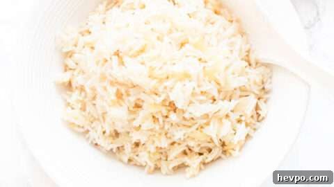 Instant Pot garlic rice