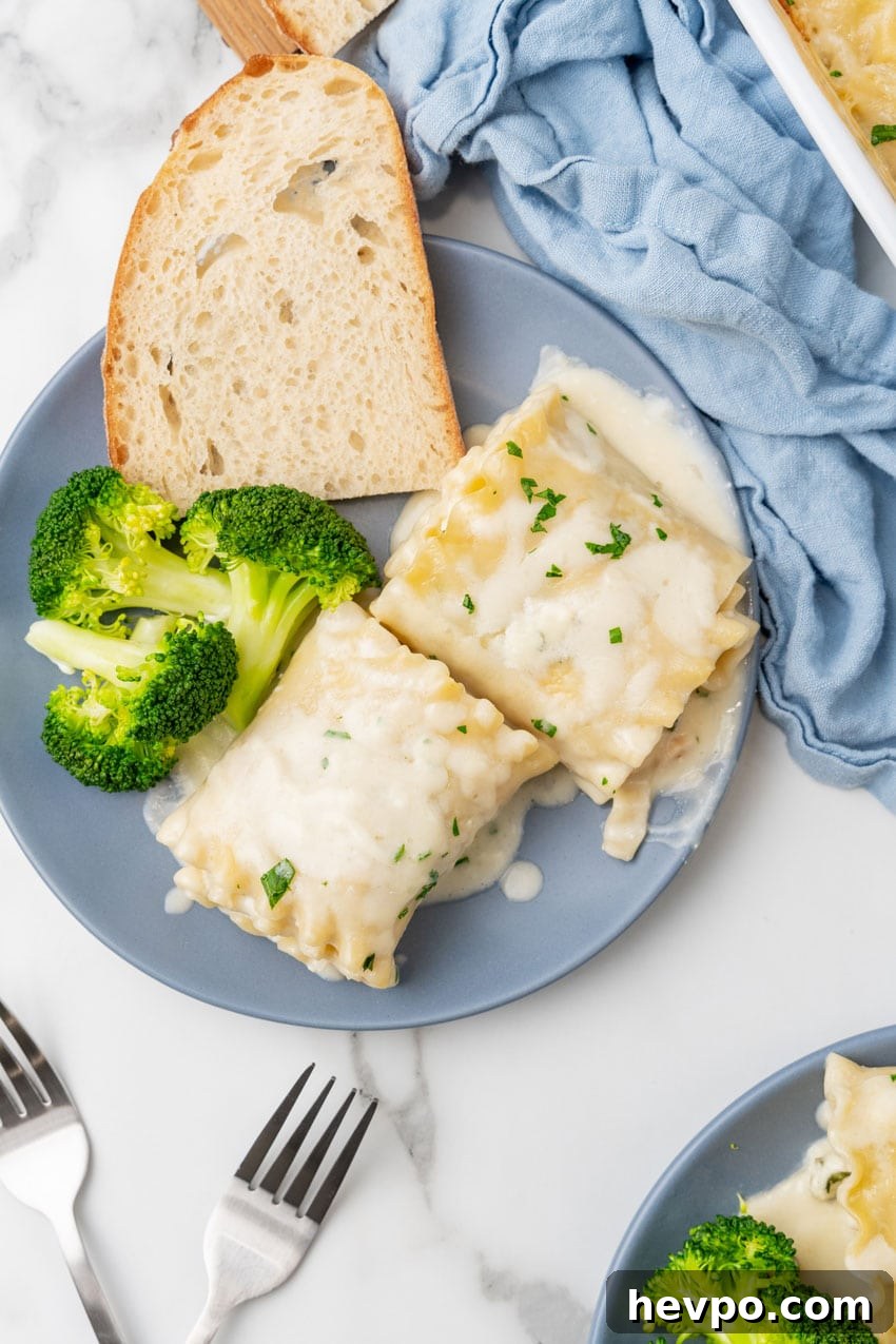 Creamy White Chicken Lasagna Roll-Ups Recipe 12 white chicken lasagna roll ups and steamed broccoli on a small blue plate