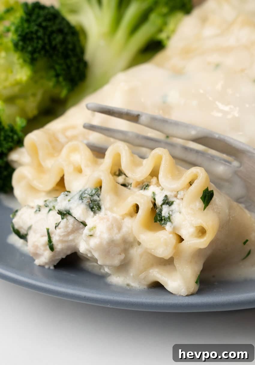 Creamy White Chicken Lasagna Roll-Ups Recipe 13 white chicken lasagna roll ups and steamed broccoli on a small blue plate