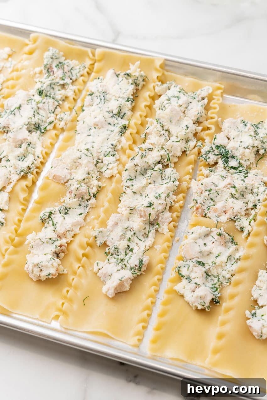 Creamy White Chicken Lasagna Roll-Ups Recipe 7 white chicken ricotta herb filling spread on cooked lasagna noodles