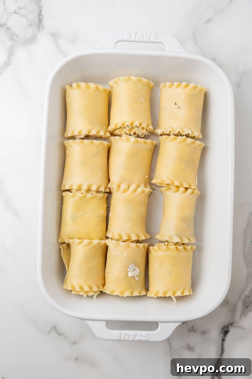 Creamy White Chicken Lasagna Roll-Ups Recipe 8 white chicken lasagna roll ups arranged in rows in a white baking dish