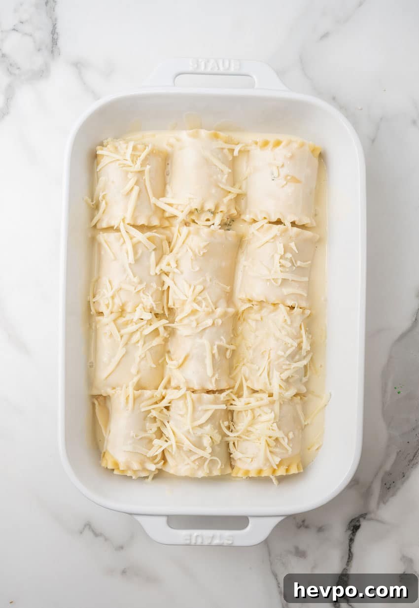 Creamy White Chicken Lasagna Roll-Ups Recipe 9 white chicken lasagna roll ups arranged in rows in a white baking dish