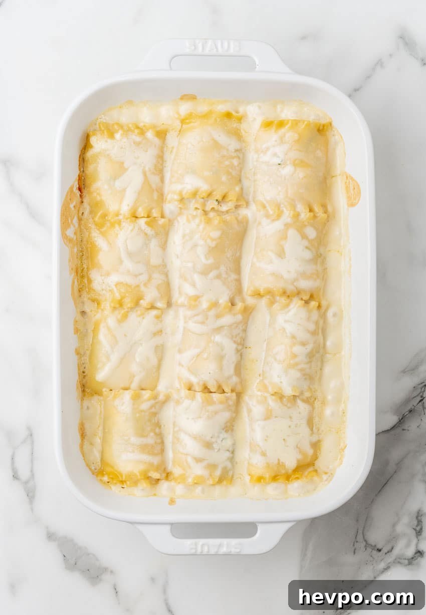 Creamy White Chicken Lasagna Roll-Ups Recipe 10 white chicken lasagna roll ups arranged in rows in a white baking dish
