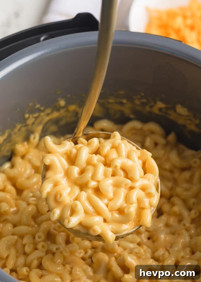 ladleful of creamy mac and cheese in an instant pot