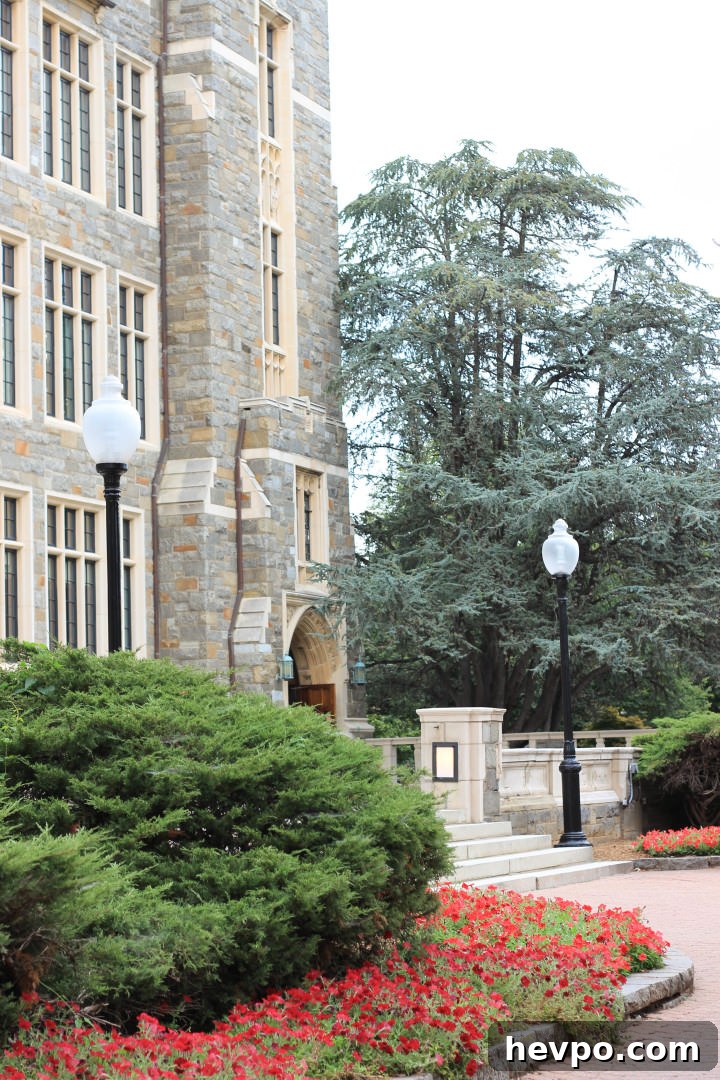 Georgetown