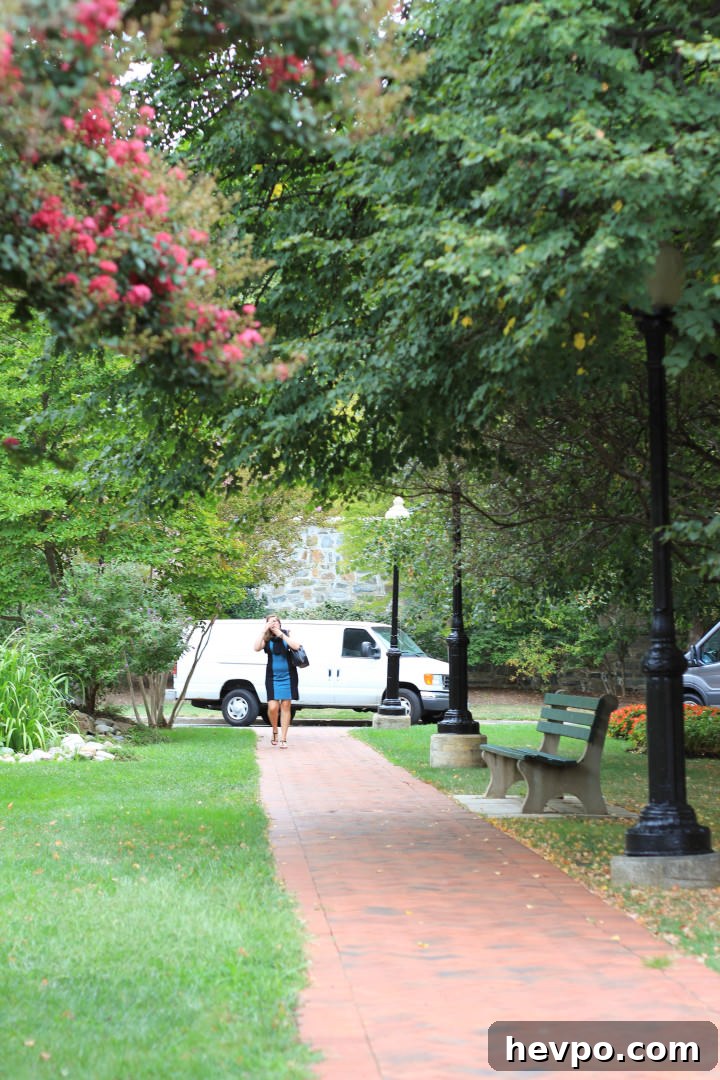 Georgetown