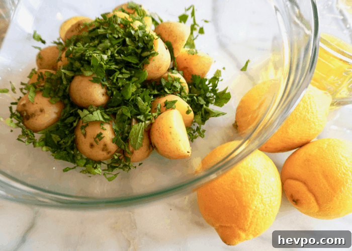 Delicious Lebanse Potato Salad