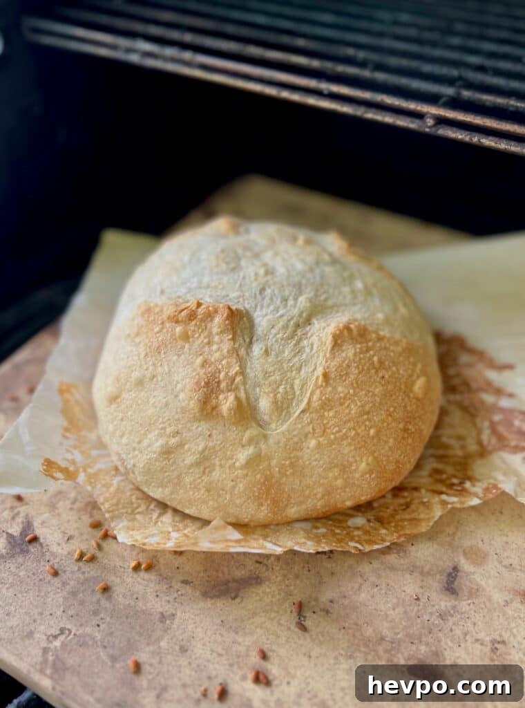 Grilling Sourdough: Step-by-Step Guide to Perfect Crust and Flavor 11 Baked sourdough cooling after grill bake