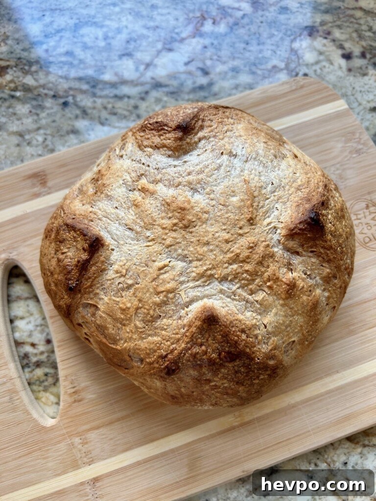 Grilling Sourdough: Step-by-Step Guide to Perfect Crust and Flavor 5 Sourdough loaf on a grill