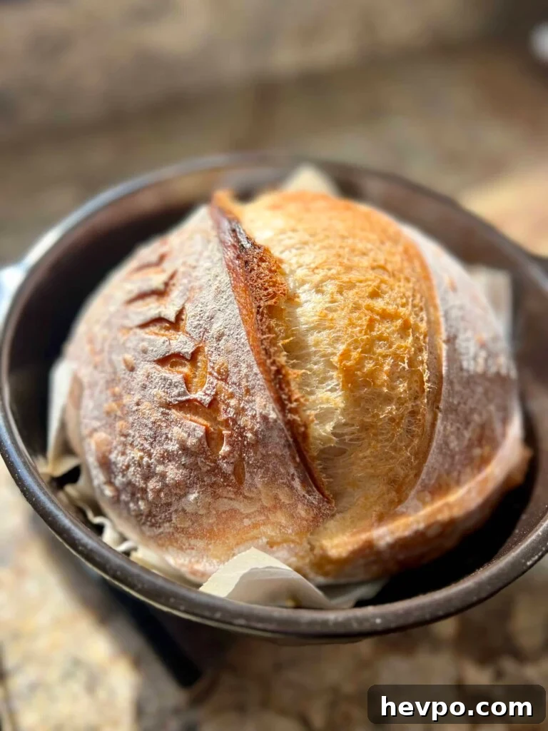Grilling Sourdough: Step-by-Step Guide to Perfect Crust and Flavor 8 Sourdough bread baked in a dutch oven on a grill