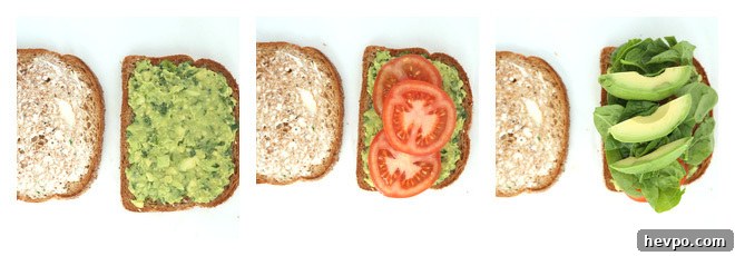 Avocado Tomato Sandwich with Baby Spinach Recipe