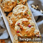 Vegan Monster Cookie Recipe with Oats, Peanut Butter & Chocolate Chips 5 img 16411 5