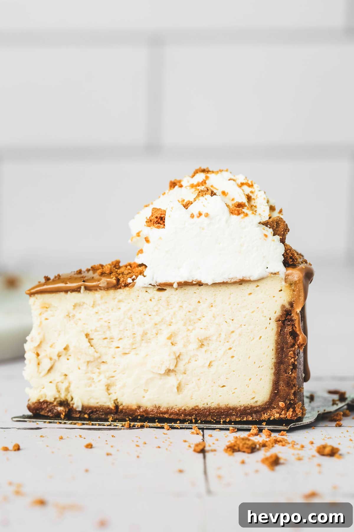 Biscoff Cookie Crust Recipe for Pies & Cheesecakes 8 slice of cheesecake with biscoff cookie crust