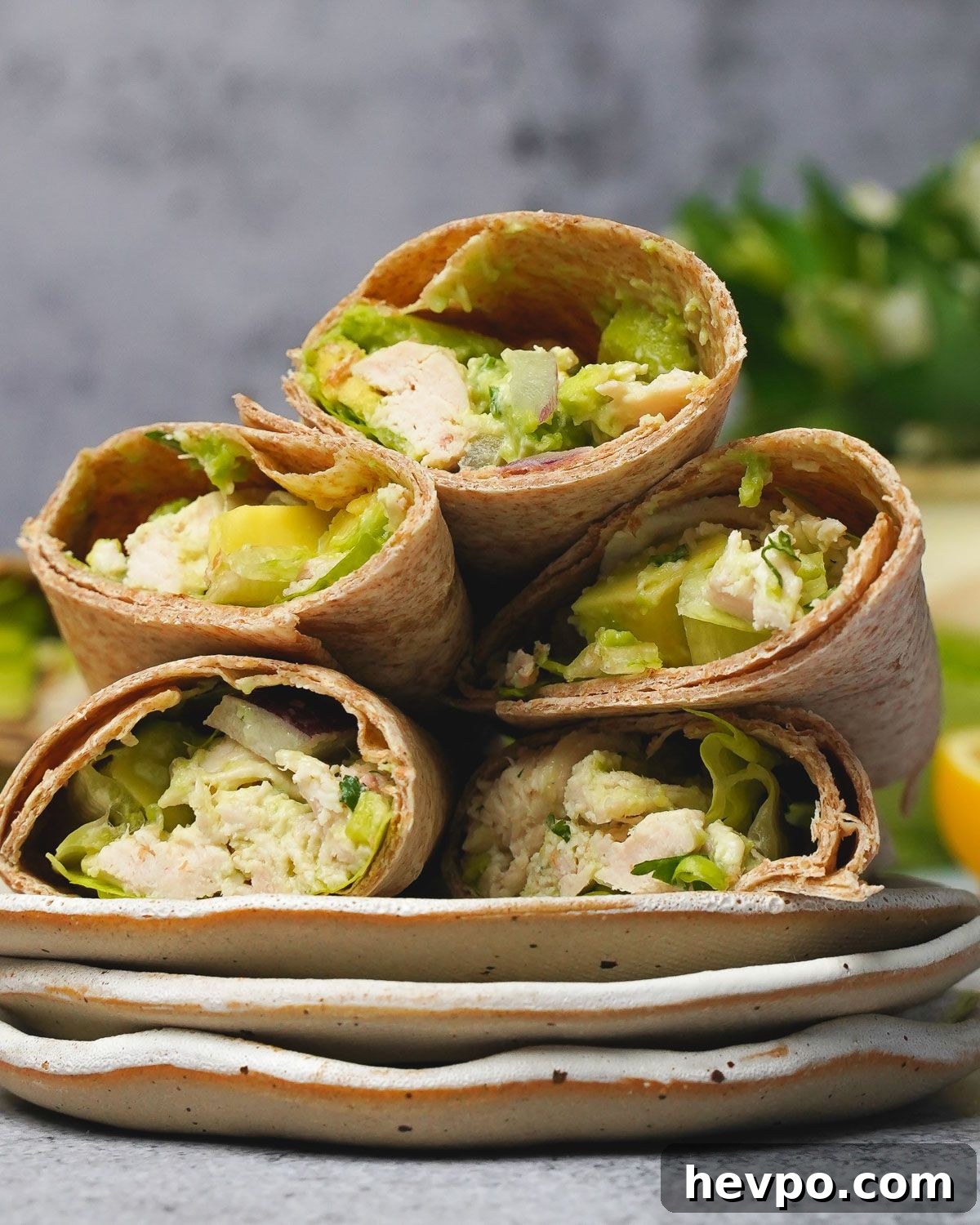Chicken Avocado Wrap
