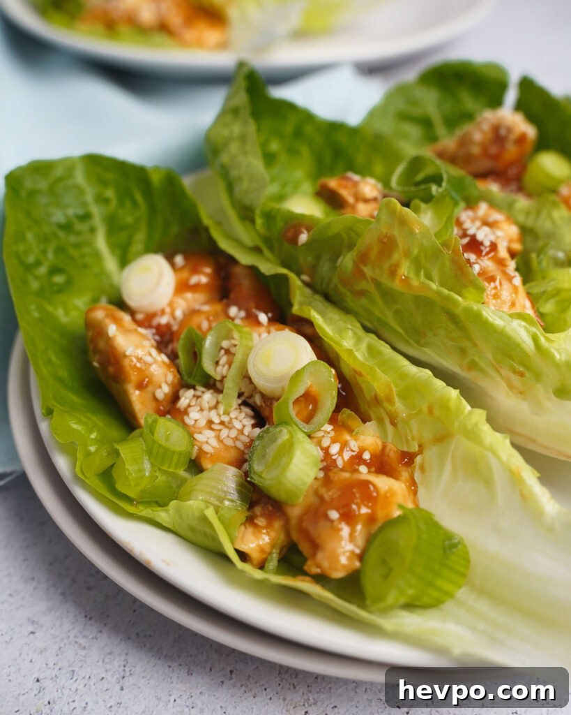 Teriyaki Chicken Lettuce Wraps