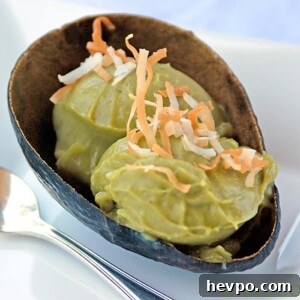 Avocado Ice Cream