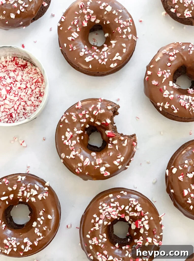 Baked Chocolate Peppermint Donuts Recipe for the Holidays 2 baked chocolate peppermint donuts with a bite missing