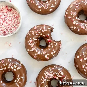 Baked Chocolate Peppermint Donuts Recipe for the Holidays 19 baked chocolate peppermint donuts with a bite missing.