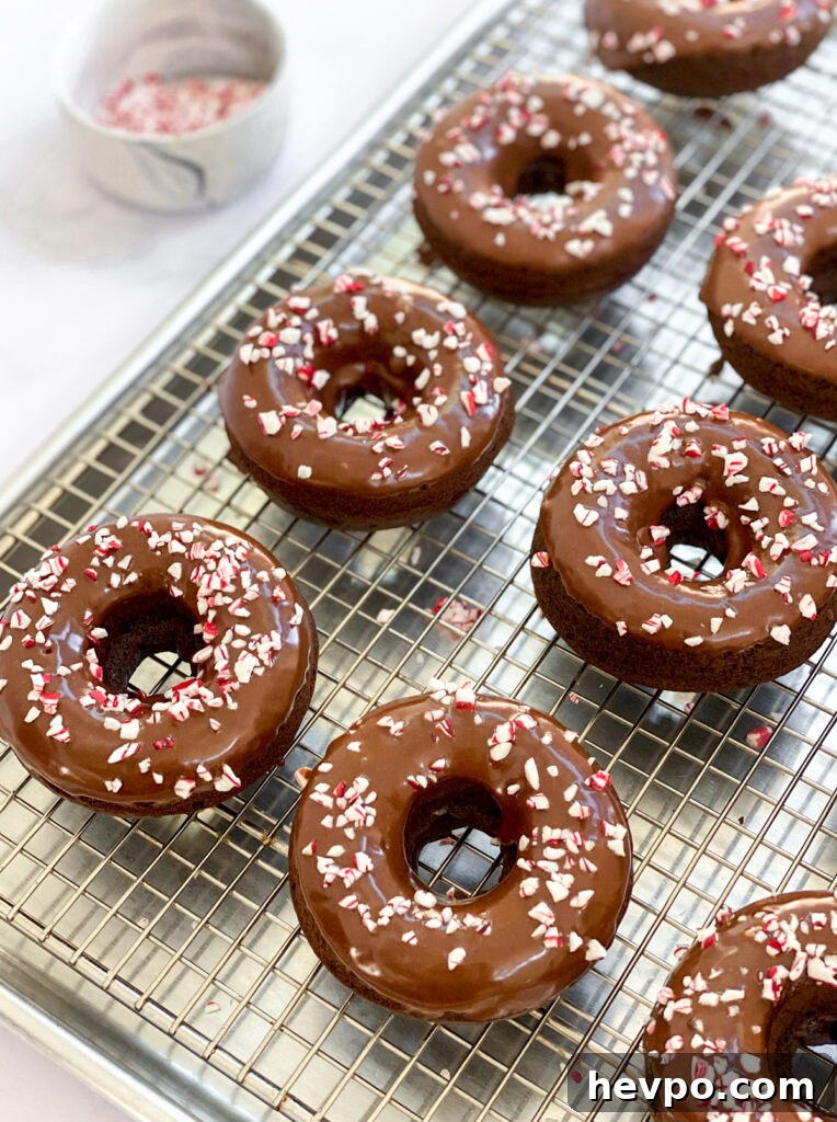 Baked Chocolate Peppermint Donuts Recipe for the Holidays 4 donuts on cooling rack