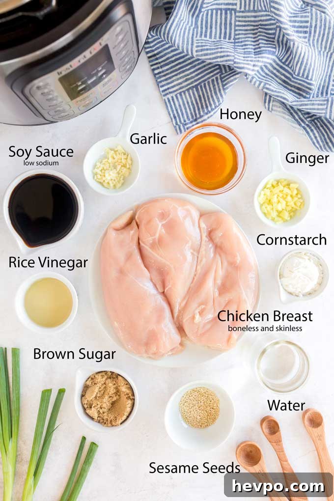 Shredded Teriyaki Chicken Made in the Instant Pot 5 Ingredients to make teriyaki chicken in the pressure cooker.