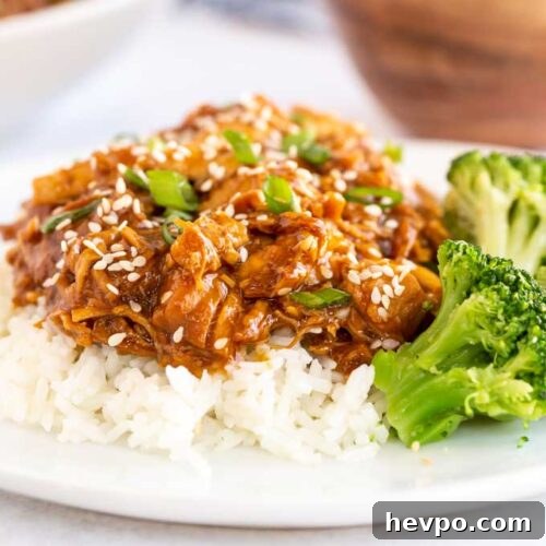 Shredded Teriyaki Chicken Made in the Instant Pot 8 Chicken teriyaki shredded over rice