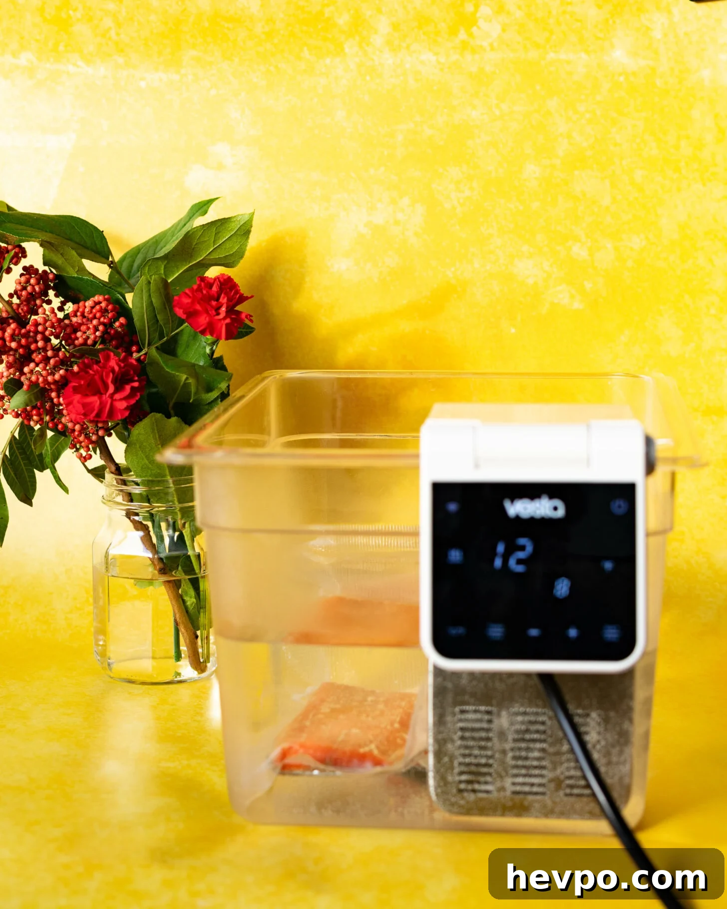 Meal Prep with Sous Vide: Step-by-Step Guide for Perfect Meals 3 What is Sous Vide? A Beginner’s Guide. - A Duck’s Oven