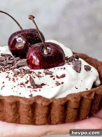 Close up of chocolate cream tart with whole cherries on top. Gray background.
