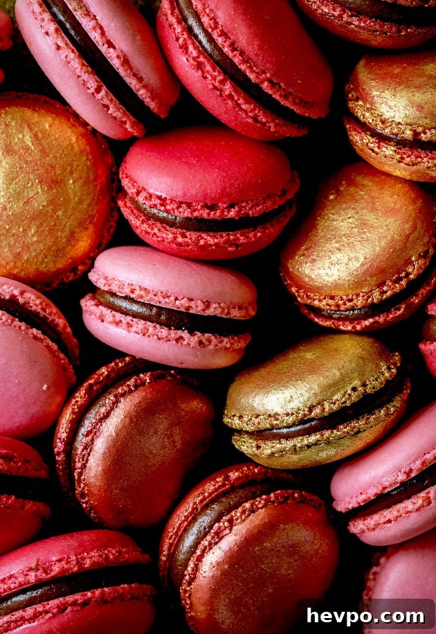 Black Cherry Macarons | Bakers Royale