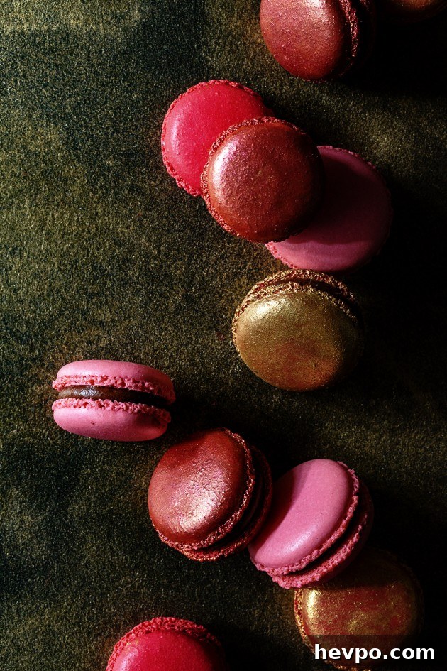 Black Cherry Macarons - Bakers Royale