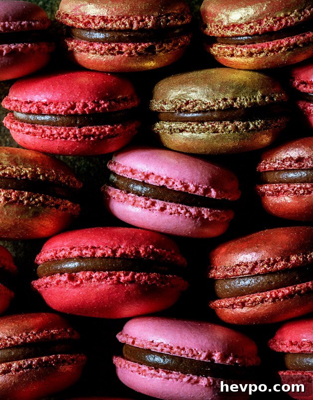 Black Cherry Macarons via Bakers Royale