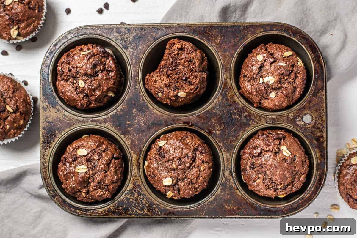 Decadent Chocolate Oatmeal Muffins with Chocolate Chips 8 baked chocolate oatmeal muffins in a muffin tin, one is bitten.